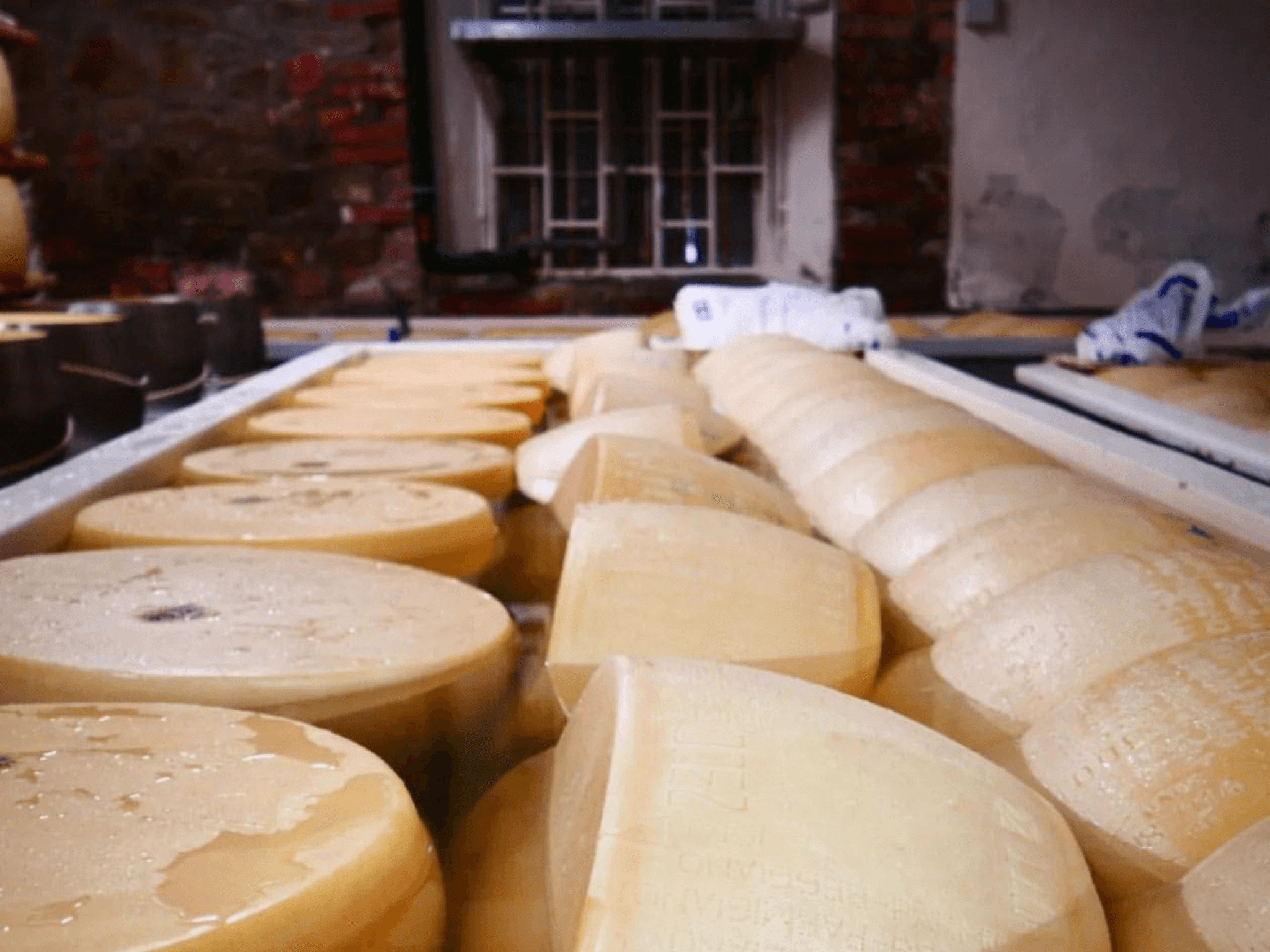 Parmesan Wheels near Parma: Tasting & Factory Tour - photo 5