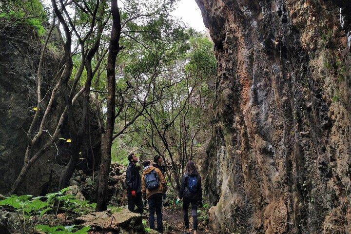 Full Day Rock Climb Adventure Trail with Lunch - photo 3
