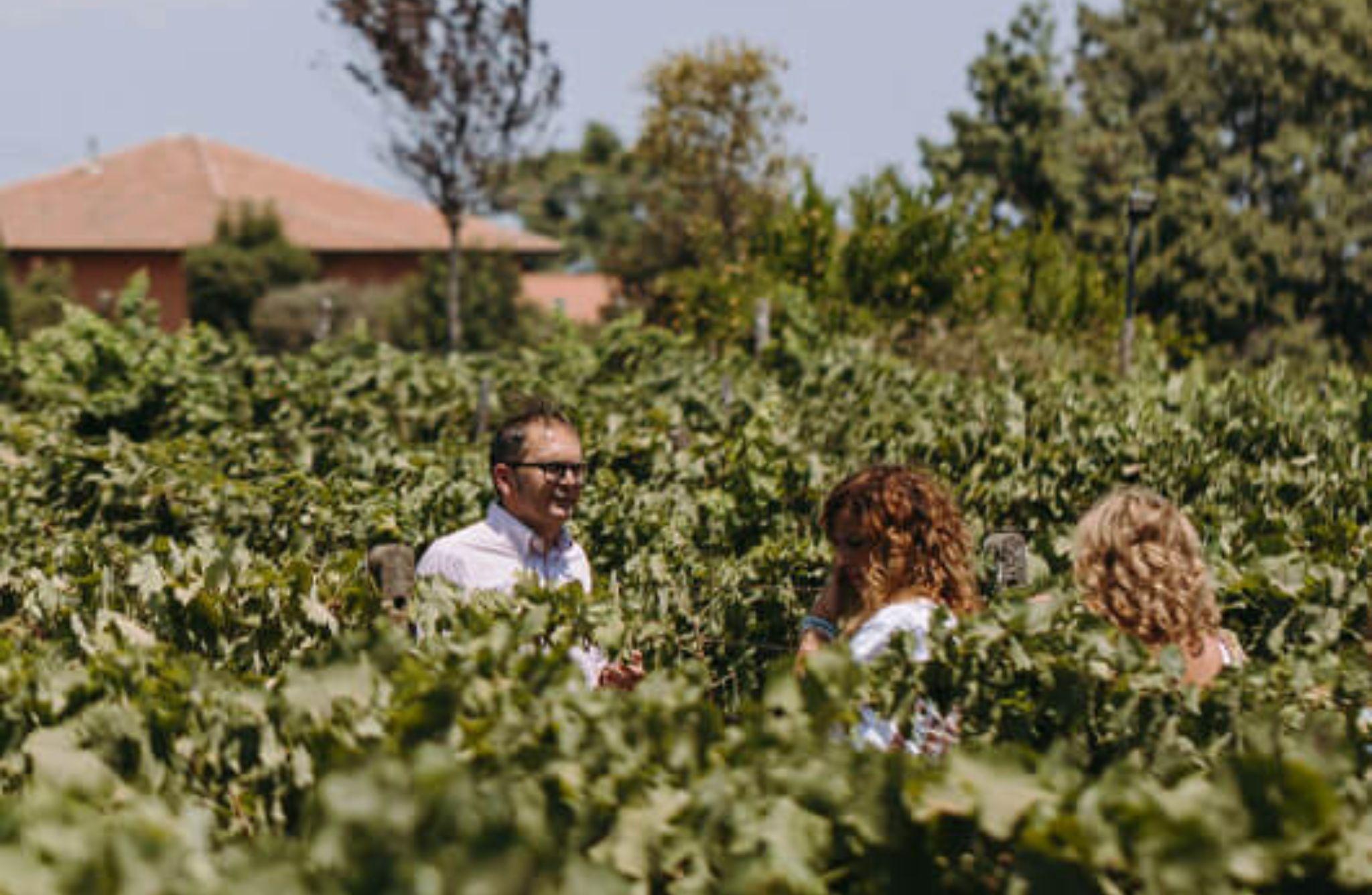 Winery Visit & Tasting on the Volcanic Slopes near Catania - photo 3