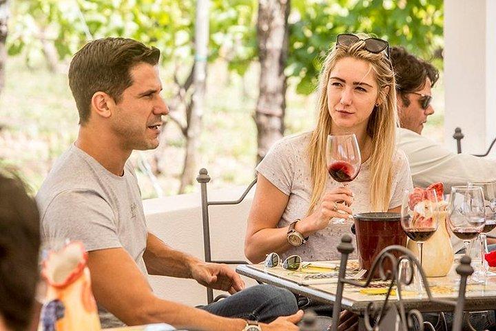Pompeii Ruins & Wine Tasting with Lunch on Vesuvius with Private Transfer - photo 4
