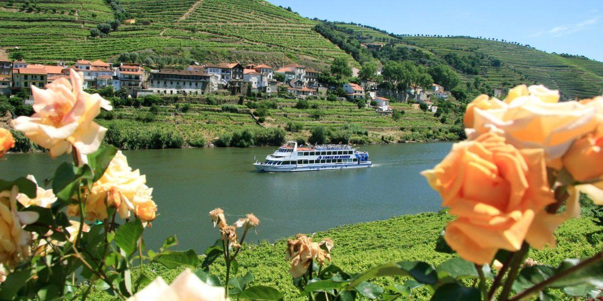 Douro Valley Cruise from Porto to Régua with Breakfast and Lunch - cover photo
