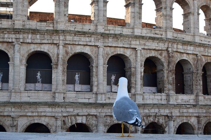Private Rome Tour from Port: Vatican, Colosseum, Squares & Lunch - photo 2