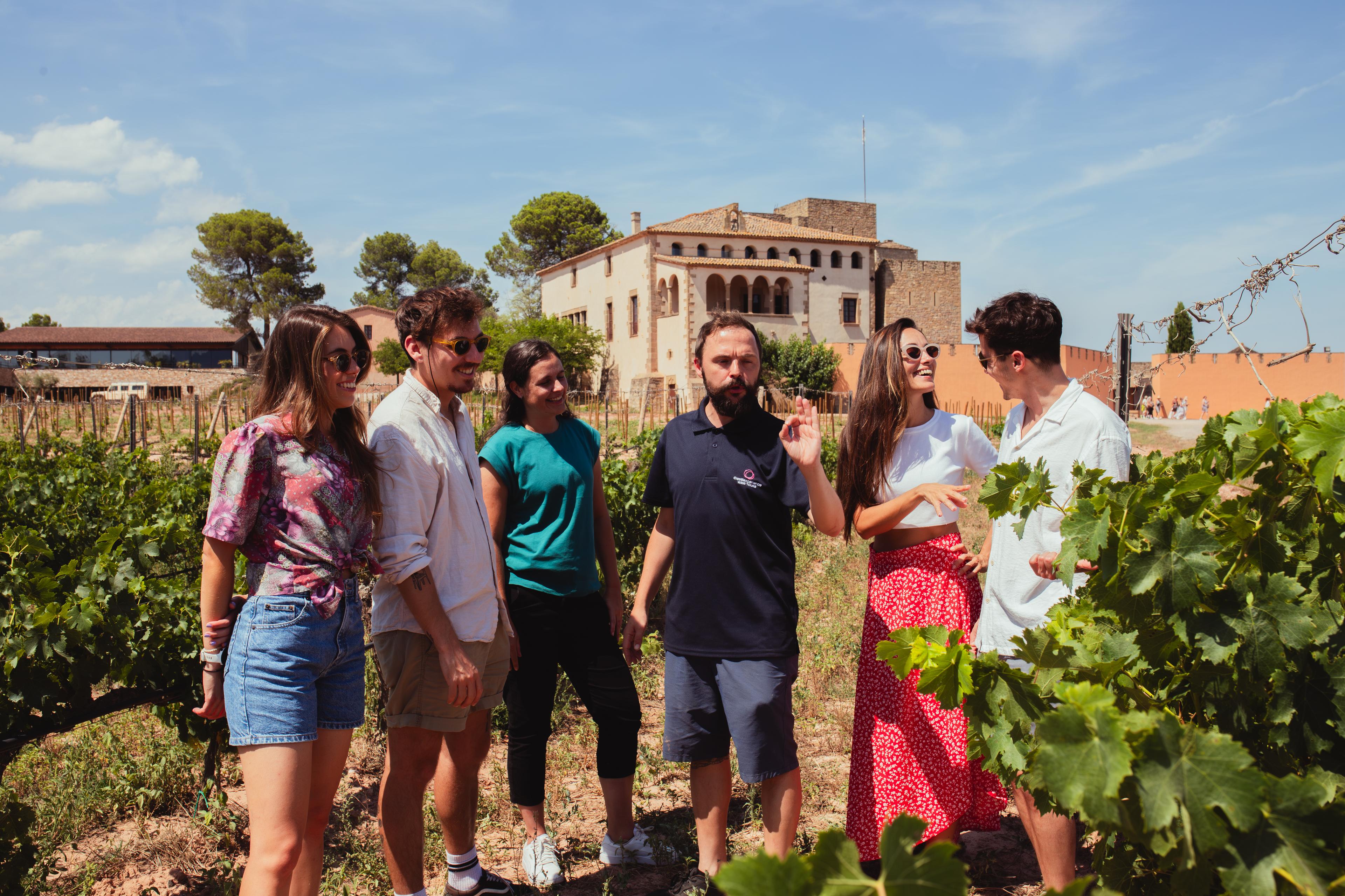Extended Montserrat, Tapas & Wine in Spanish - photo 4