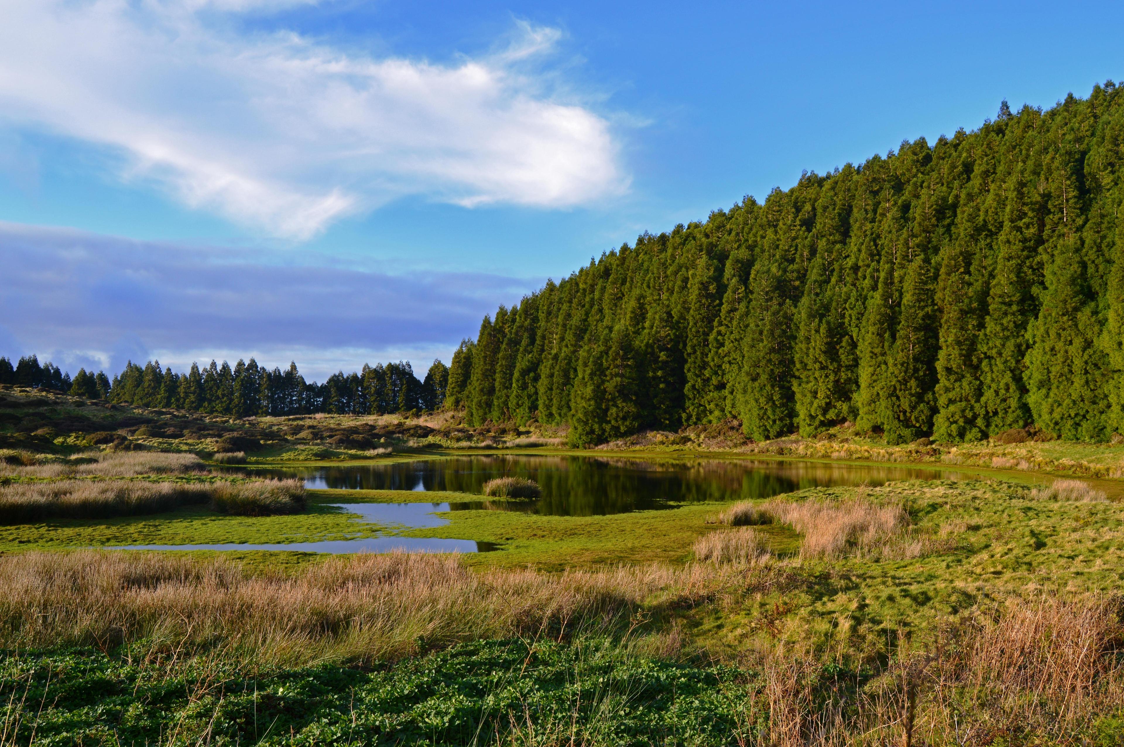 Lagoas e Vulcões - cover photo