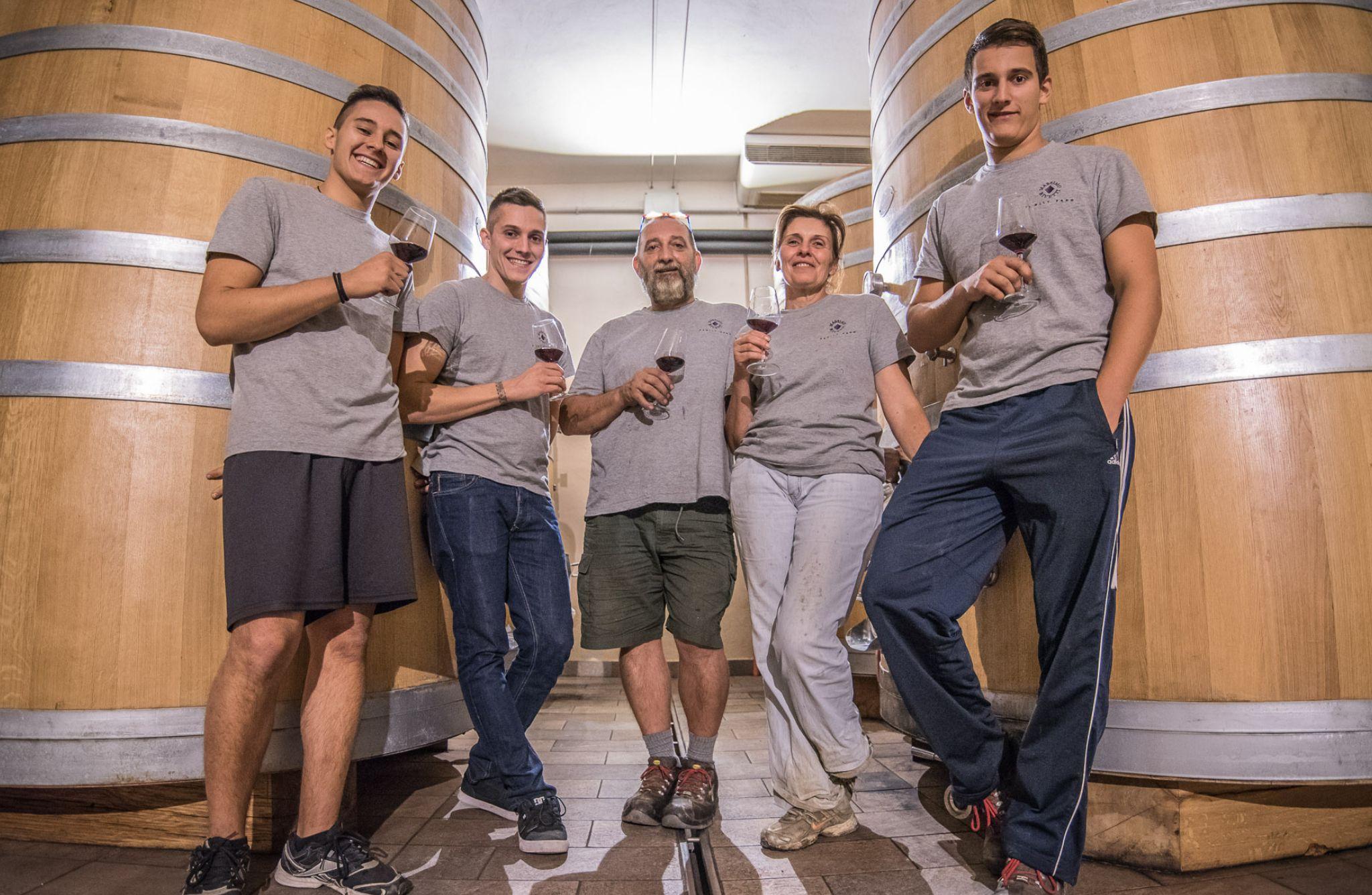 Wine Tasting with Snacks in Neive, the heart of Langhe - cover photo