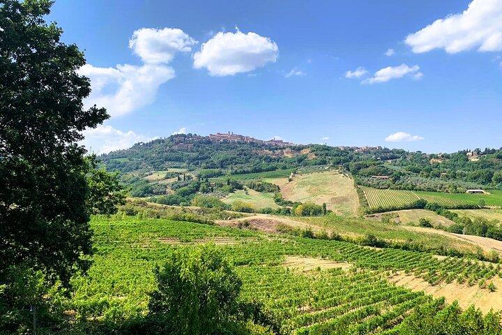 Rome to Montepulciano with Wine Tasting + Stop at Orvieto - photo 4