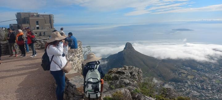Table Mountain and Cape Point Tour - photo 2