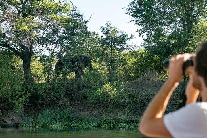 Zambezi Classic Sunset Cruise - photo 3