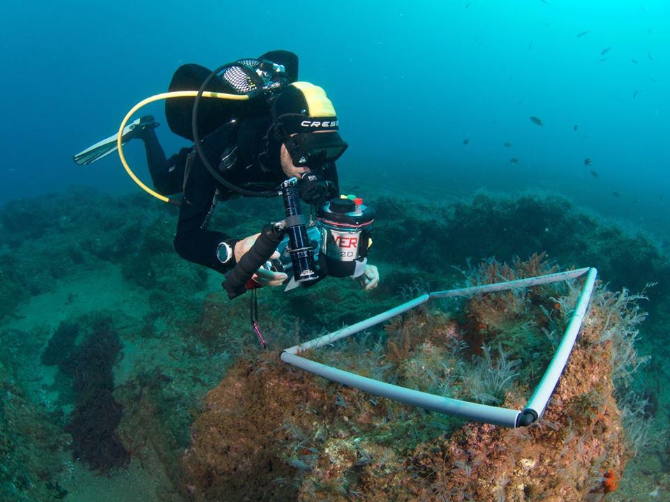 PADI Advanced Course (5 dives) - photo 2