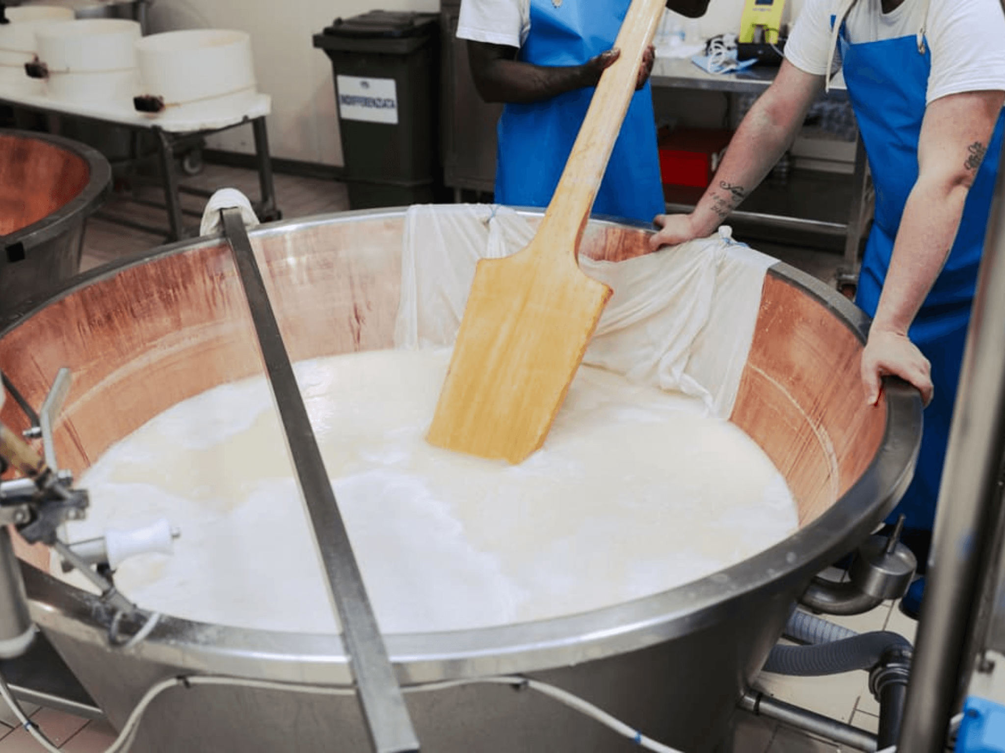 Parmesan Cheese Factory Tour & Tasting near Parma - photo 2