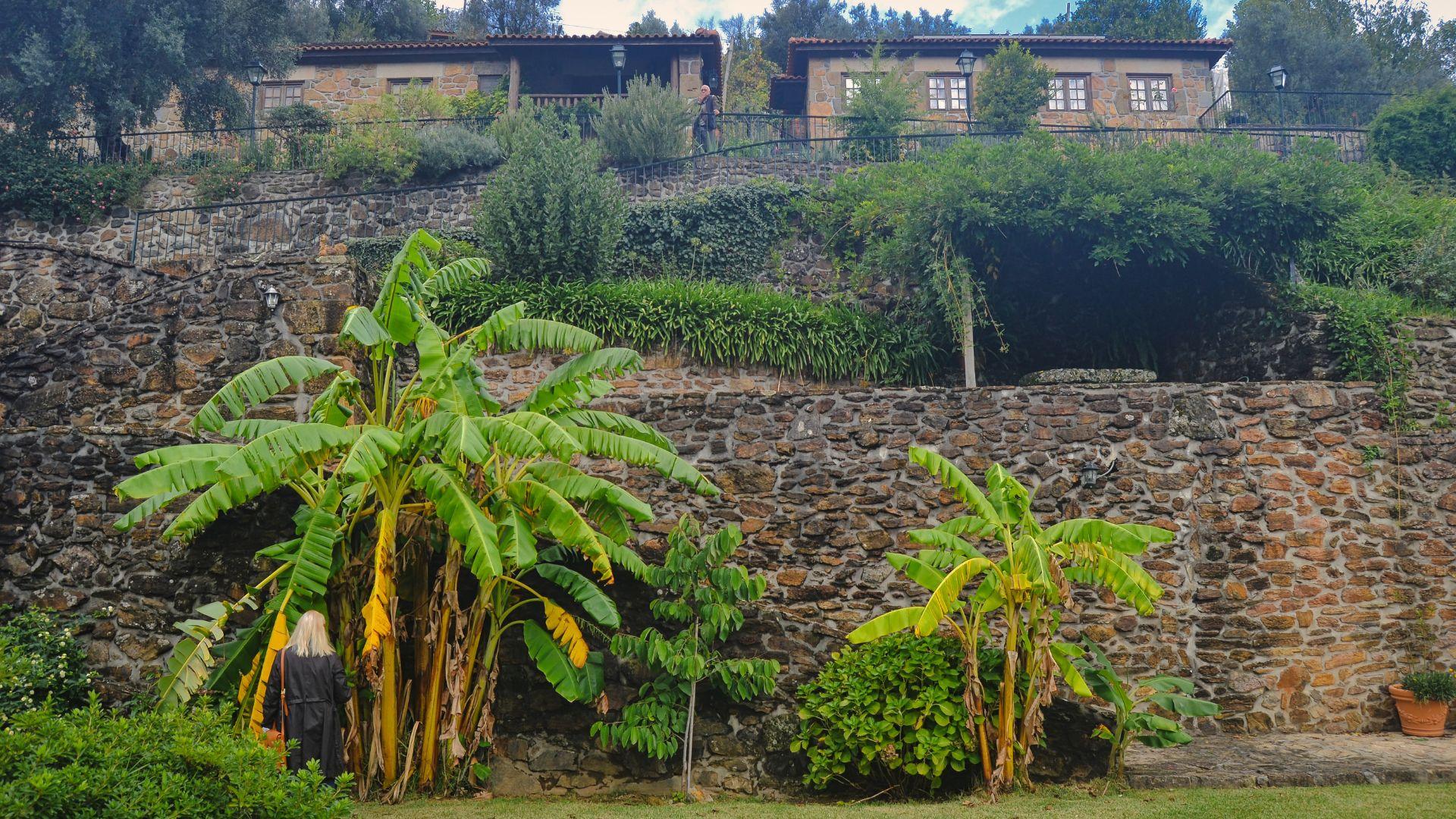 Private Vinho Verde Tour - photo 4