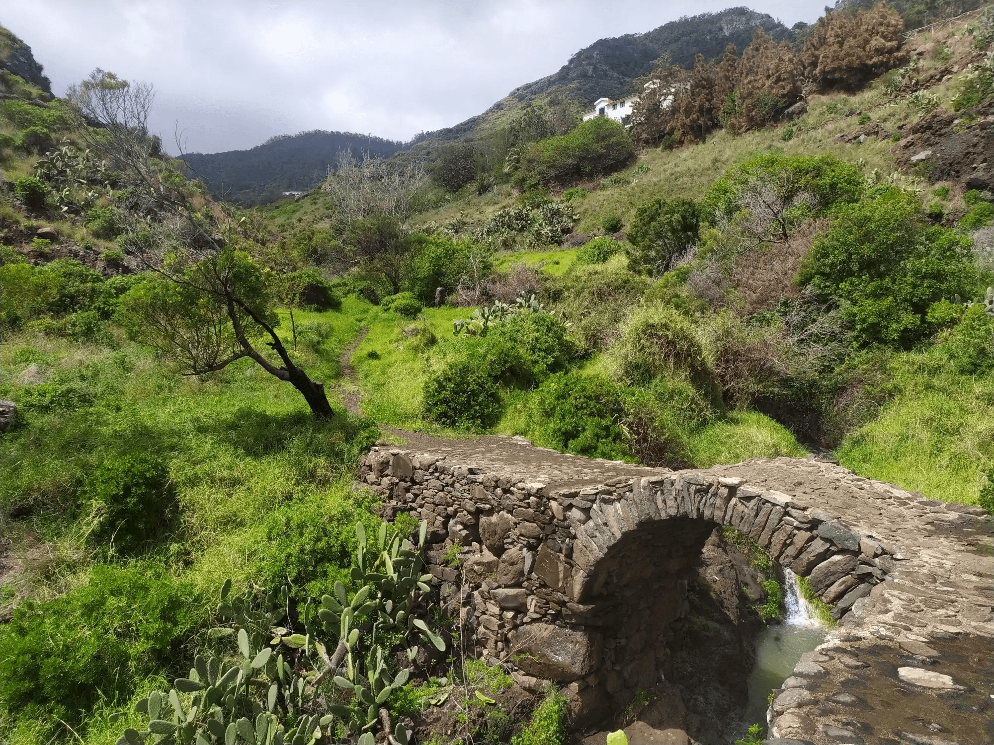 The Old Path's Hike - photo 2