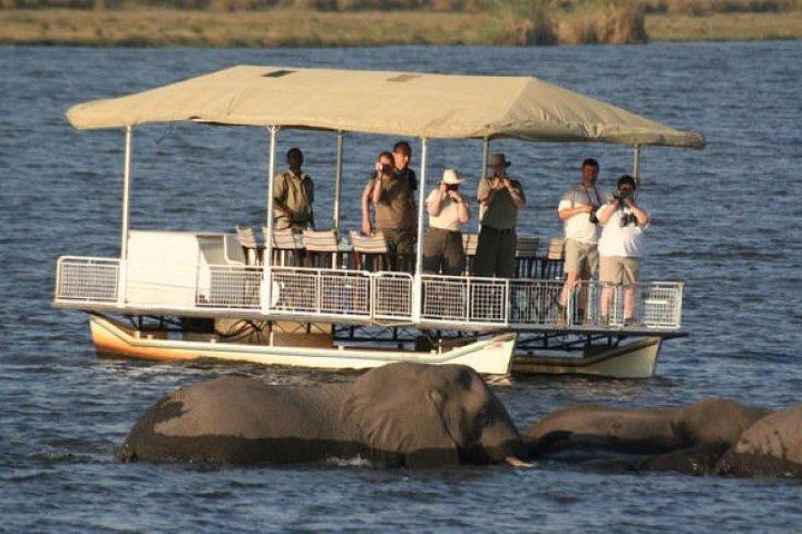 Chobe Full Day Trip (From Victoria Falls) - cover photo