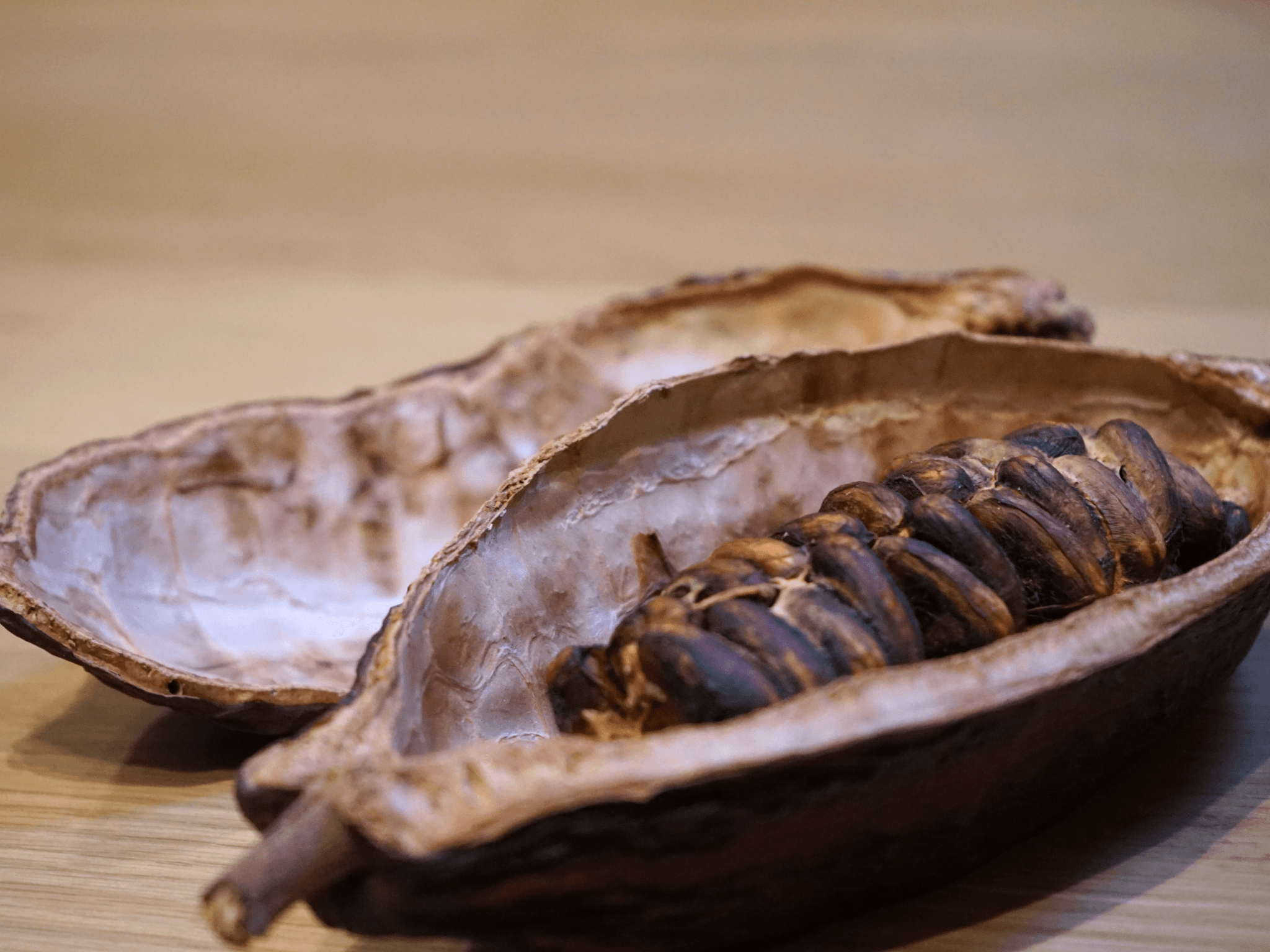 Fine Chocolate Tasting in Turin - cover photo