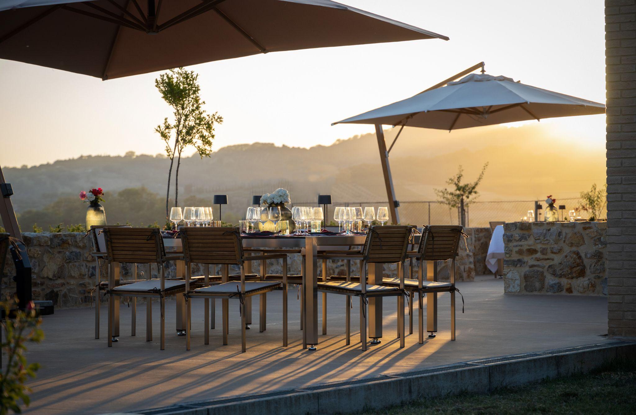 Luxury Winery Tour & Tasting with Local Food in Scansano - cover photo