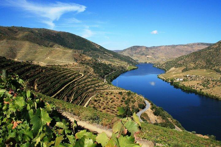 Douro Valley Private Wine Tour From Lisbon - photo 2
