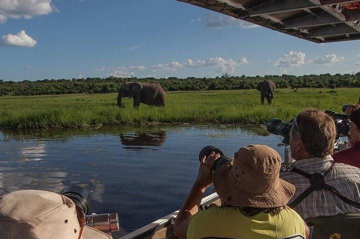 Chobe Full Day Trip (From Victoria Falls) - photo 2