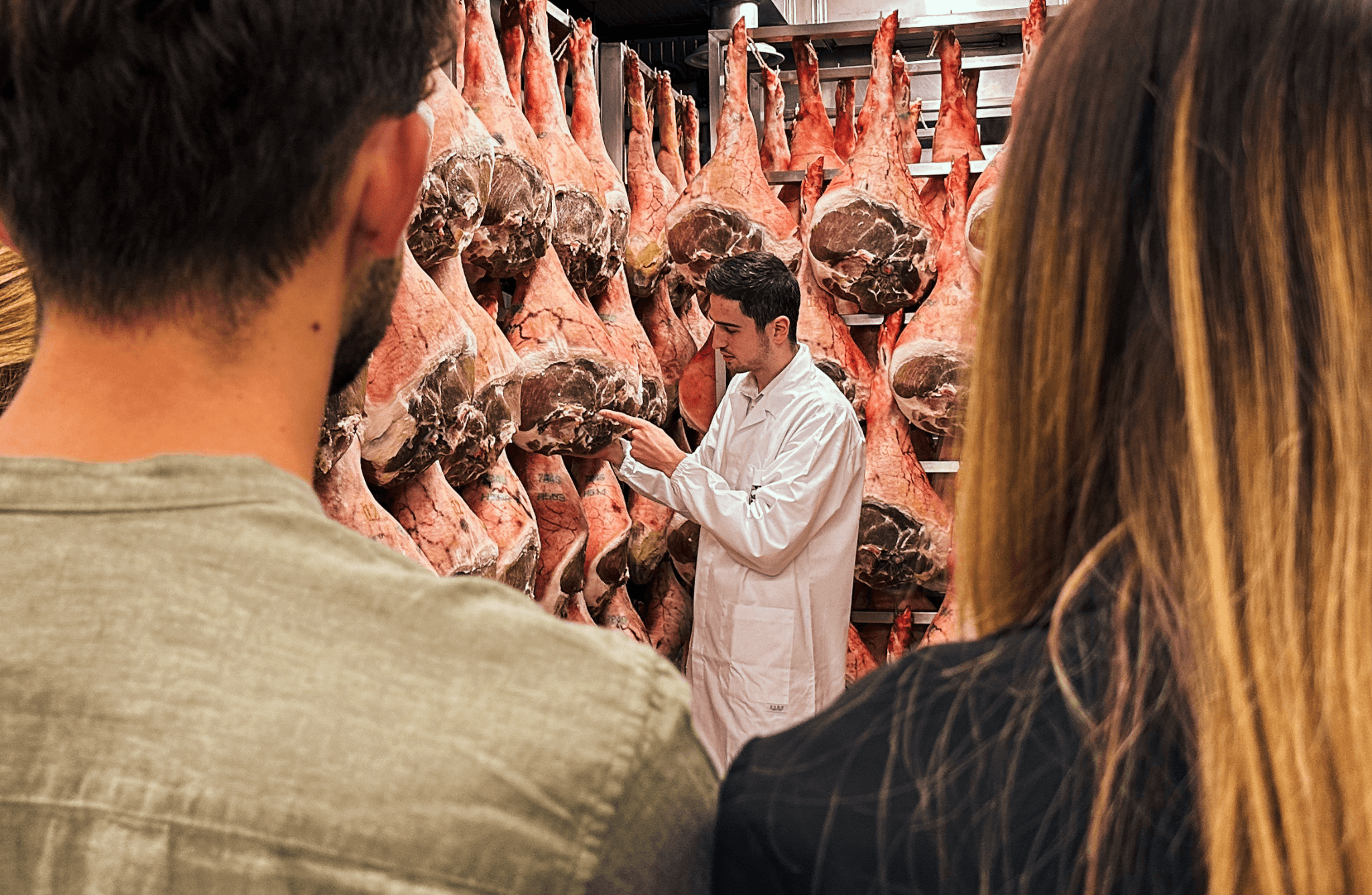 Prosciutto Ham Factory Visit & Lunch Tasting near Udine - cover photo