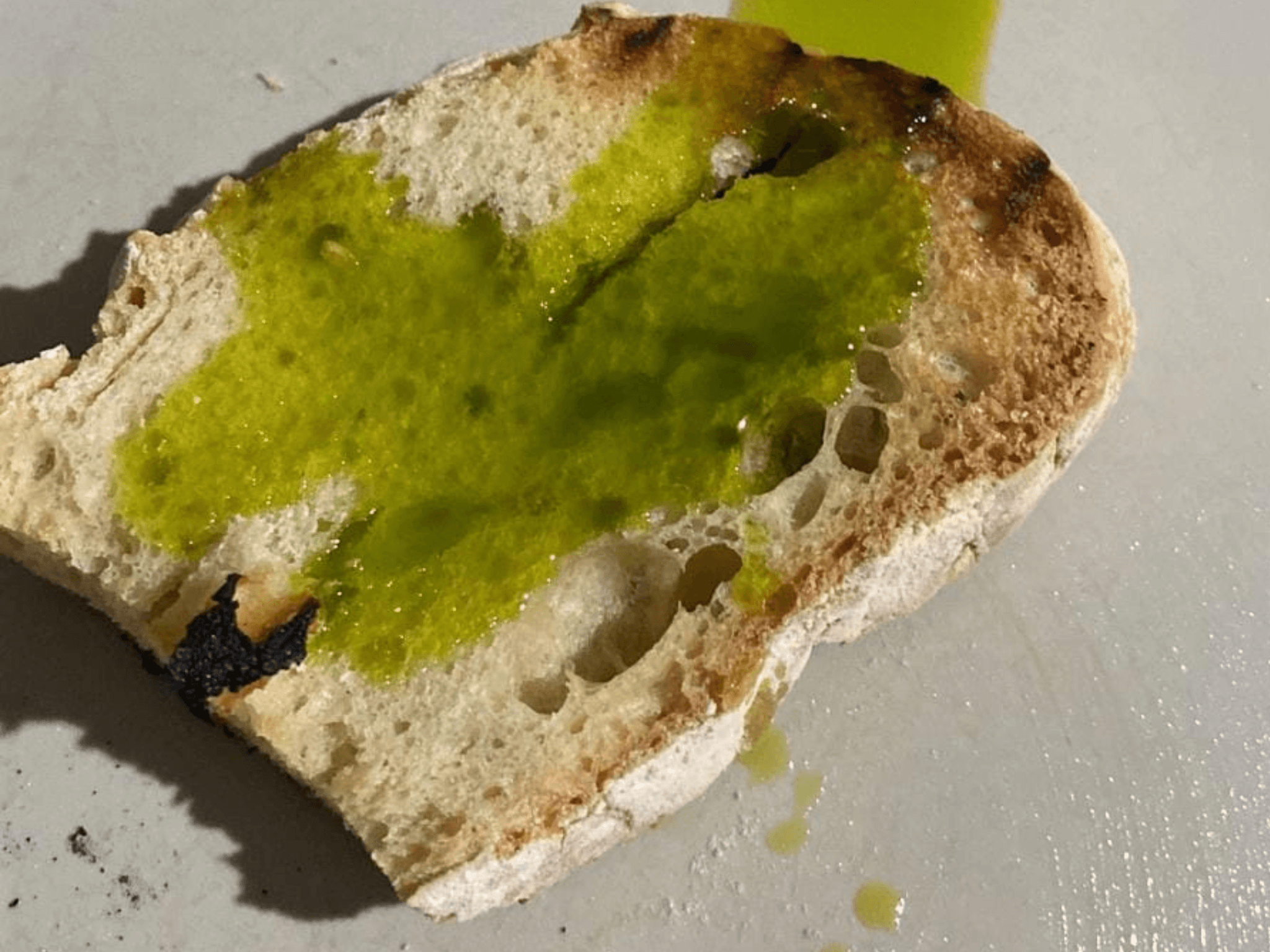 Olive Oil Tasting & Mill Guided Visit in Perugia - cover photo
