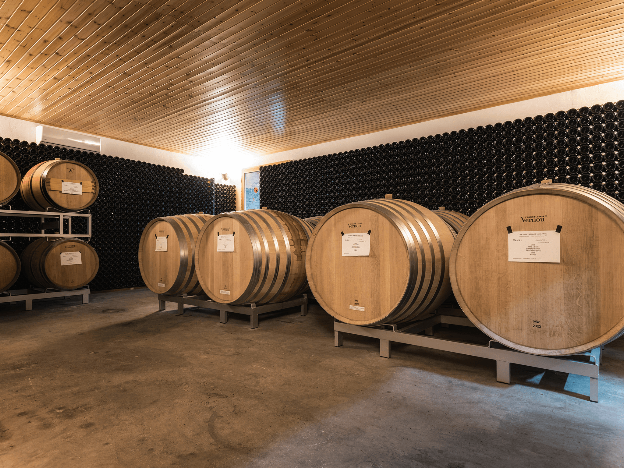 Organic Winery Visit & Wine Tasting with Food in Pavia - photo 4