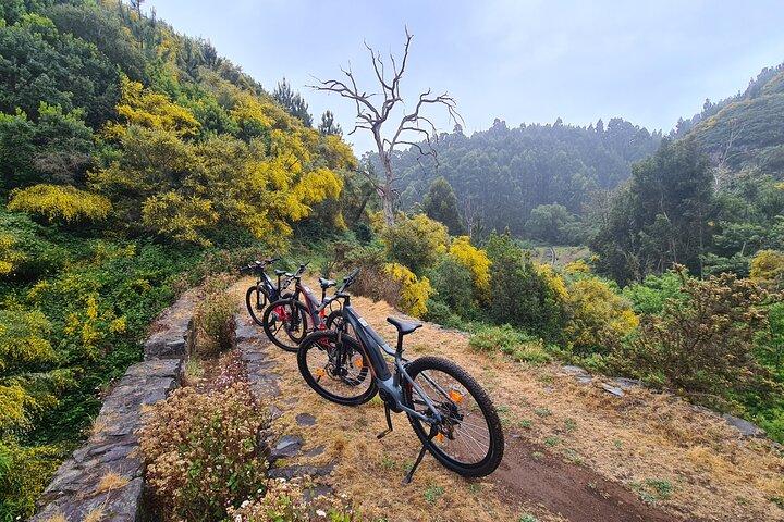Levada da Camacha Trail by E-Bike - photo 5