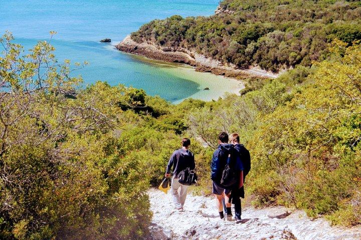 Arrábida Snorkeling & Wine - cover photo