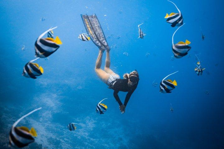 Private Los Cabos snorkeling tour to Chileno bay and Santa Maria cove - photo 2