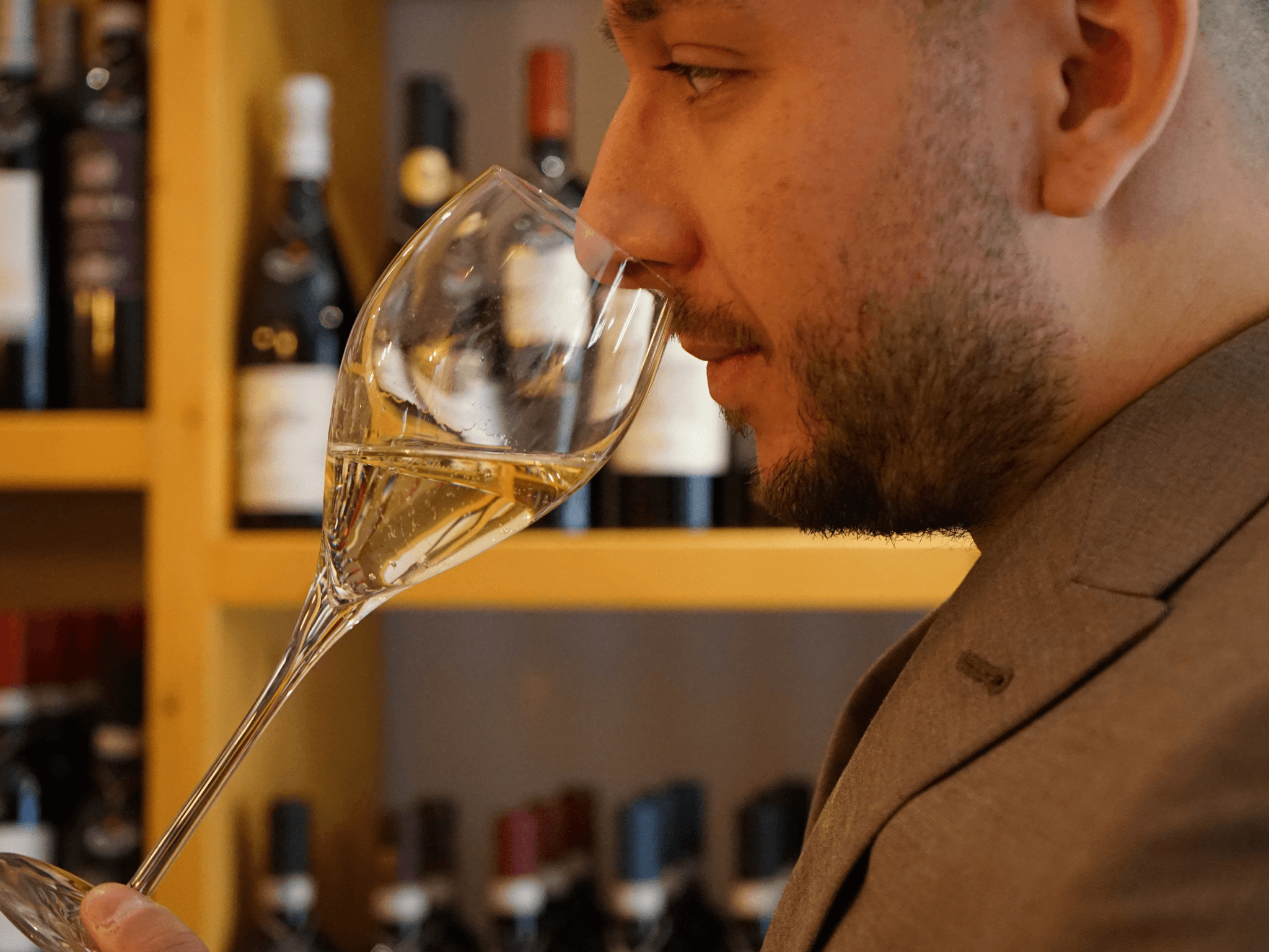 Boutique Wine Tasting in Turin City Center - cover photo