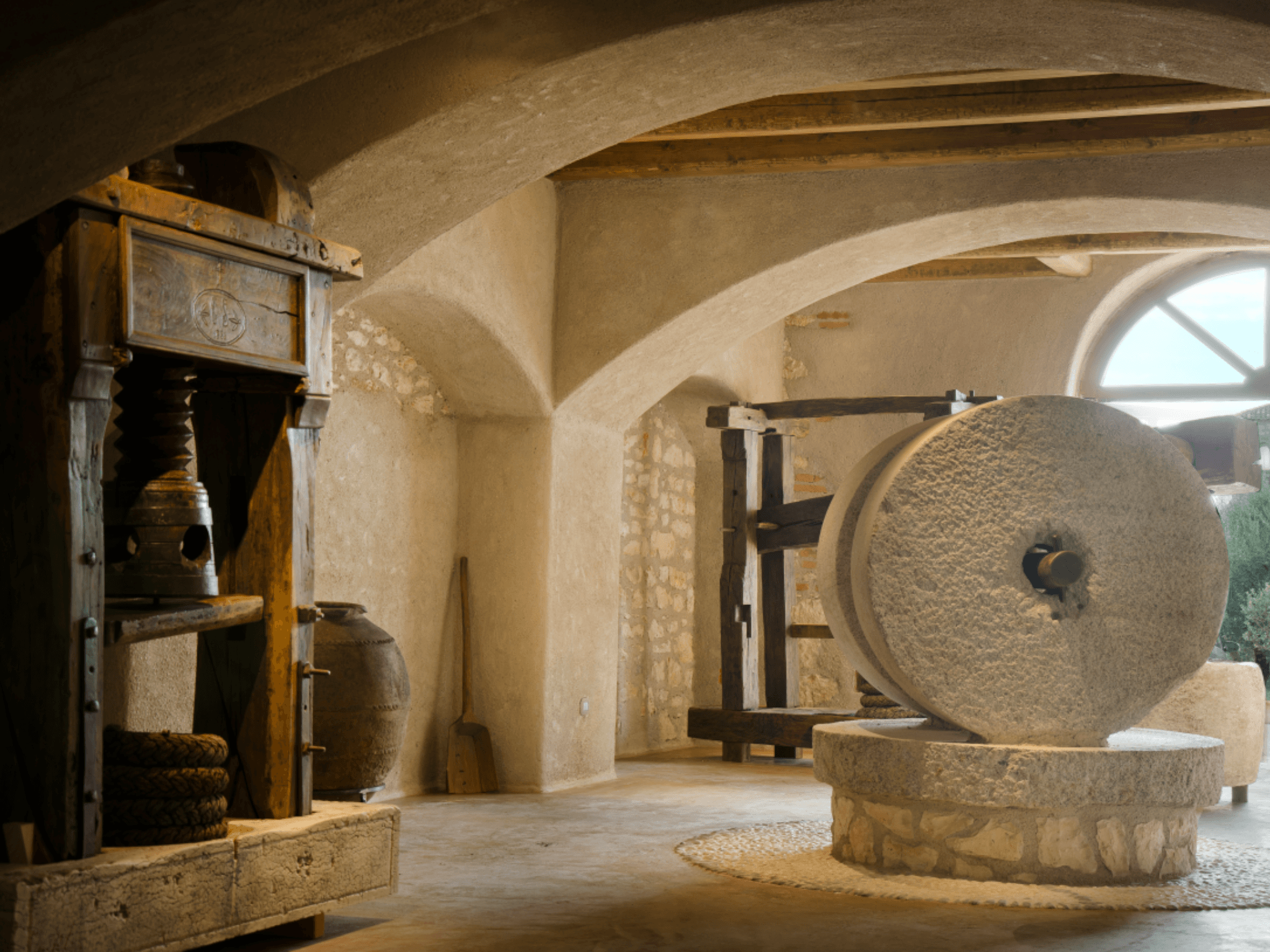 Olive Mill Tour and Tasting in the Verona Countryside - cover photo