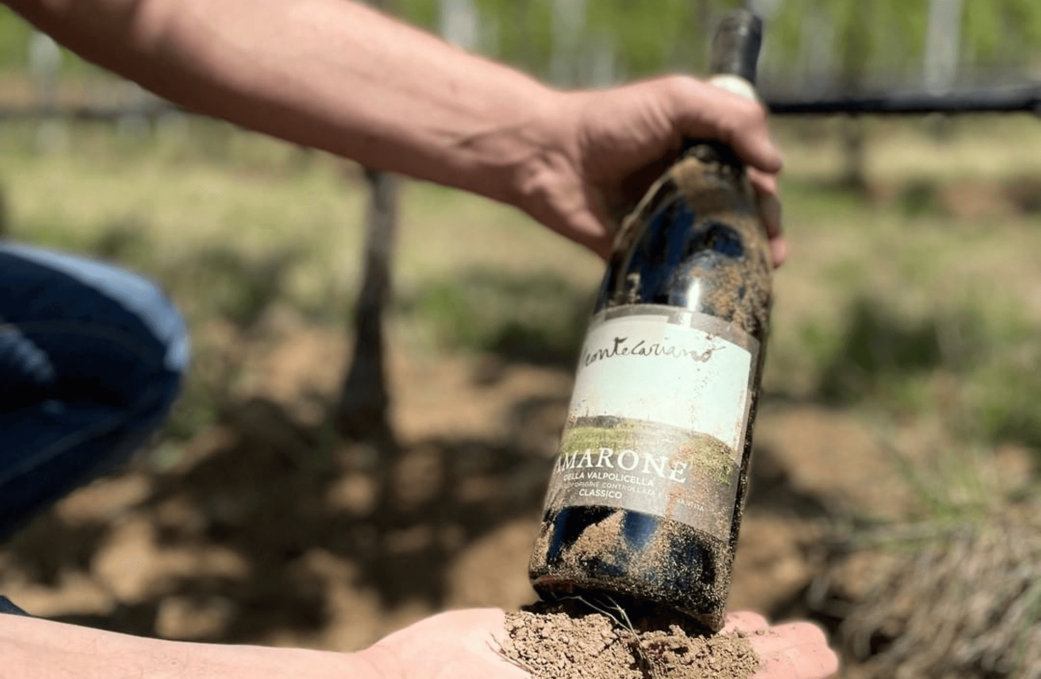 Boutique Winery Tour & Tasting in Valpolicella - cover photo