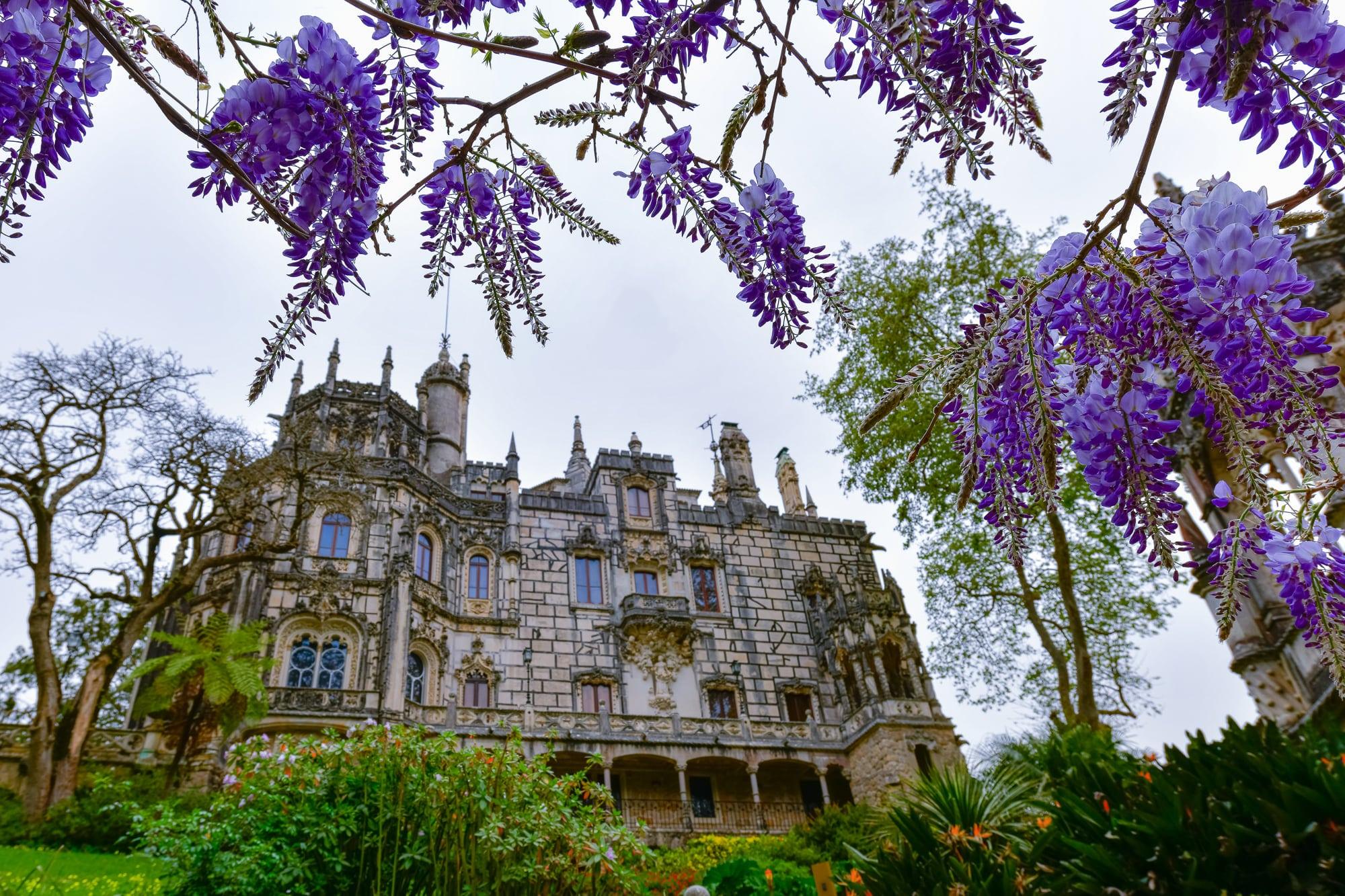 Sintra-Cascais: 2 Palácios e Tour mais completo - cover photo