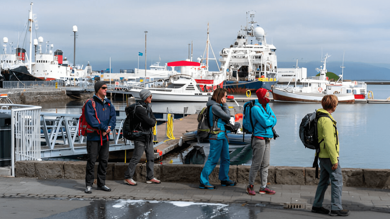 Private Reykjavik City Tour in Multi-Language Guide Options - photo 5