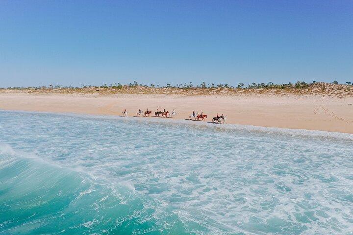 Horse Riding on the Beach with private transfer from Lisbon - photo 3
