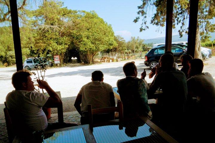 Lisbon´s South Sights & Wine Private Tour - photo 3