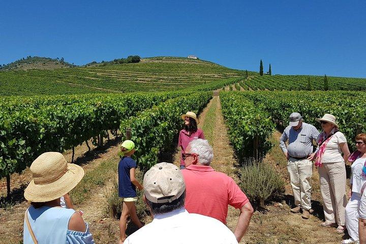 From Porto: Douro Tour with Wine, Cruise and Viewpoint Half-day - photo 3
