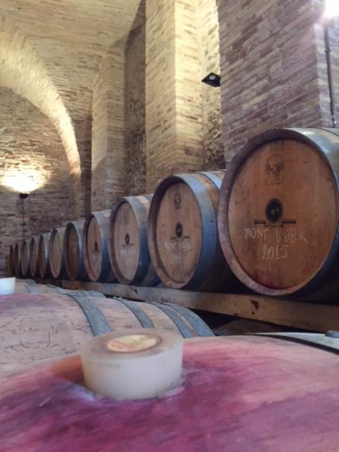 Visit and Tasting at the San Lorenzo's winery, among old houses and of its green coutryside - photo 4