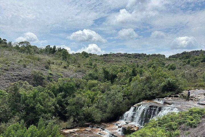 Guided tour to the Canyon of Guartelá - photo 5