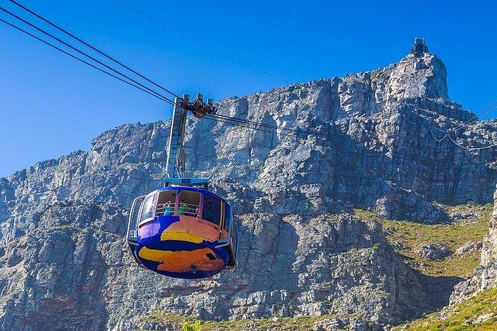 6 Days-The best of Cape Town Experience Tour & Accommadation - photo 4