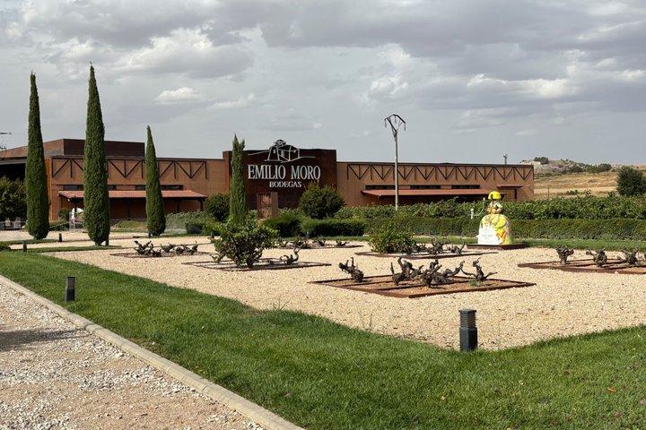 Private Tour Ribera del Duero and Emilio Moro with Official Guide - photo 4