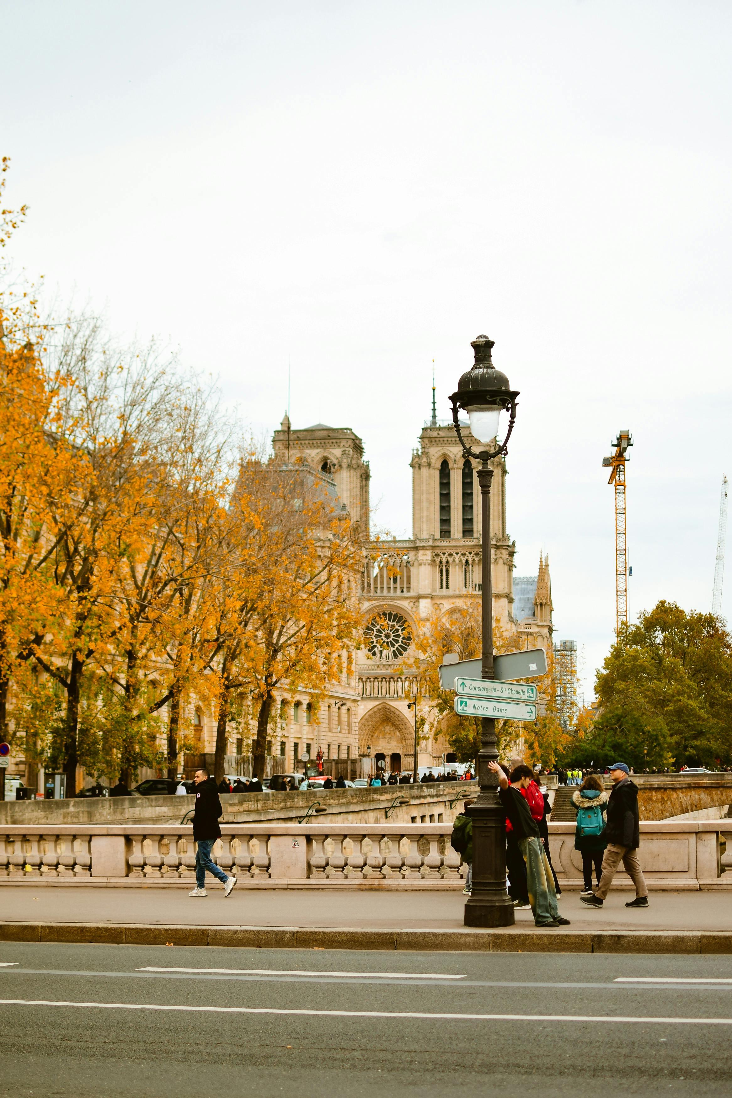 Notre Dame Interior and Exterior Guided Tour with Relics - cover photo