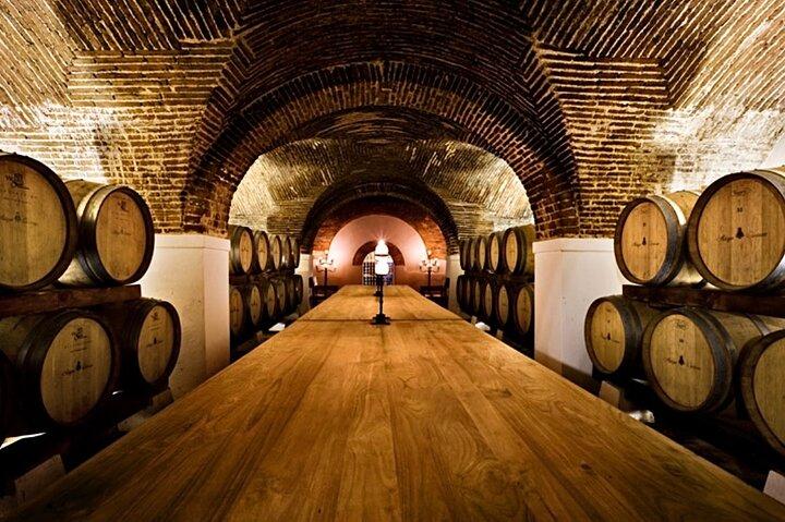 Private Evora & Alentejo Wine Tour from Lisbon - Cork & Flavors - cover photo