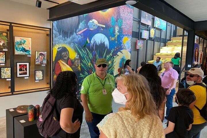 5-hour Private Tour Of São Paulo With Its Main Sights – Optional Airport Pickup - photo 2