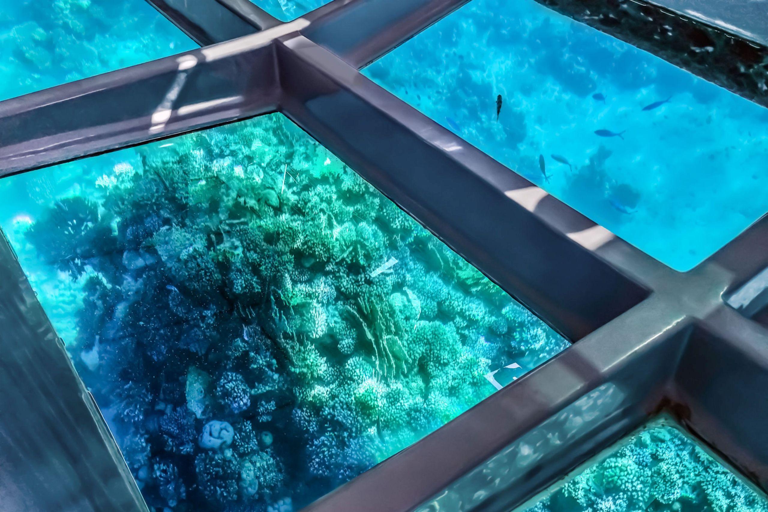 Family Glass Bottom Boat Sharm El Sheikh Excursions - cover photo