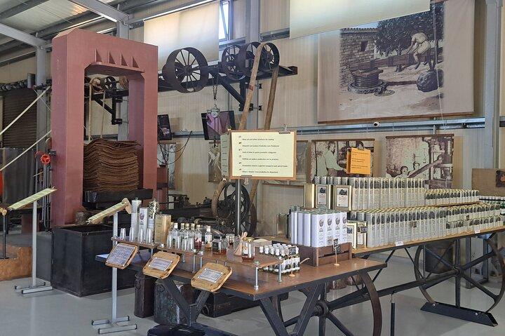 Olive Oil Mill Raki Distillery and Heraklion City Private Tour - photo 4