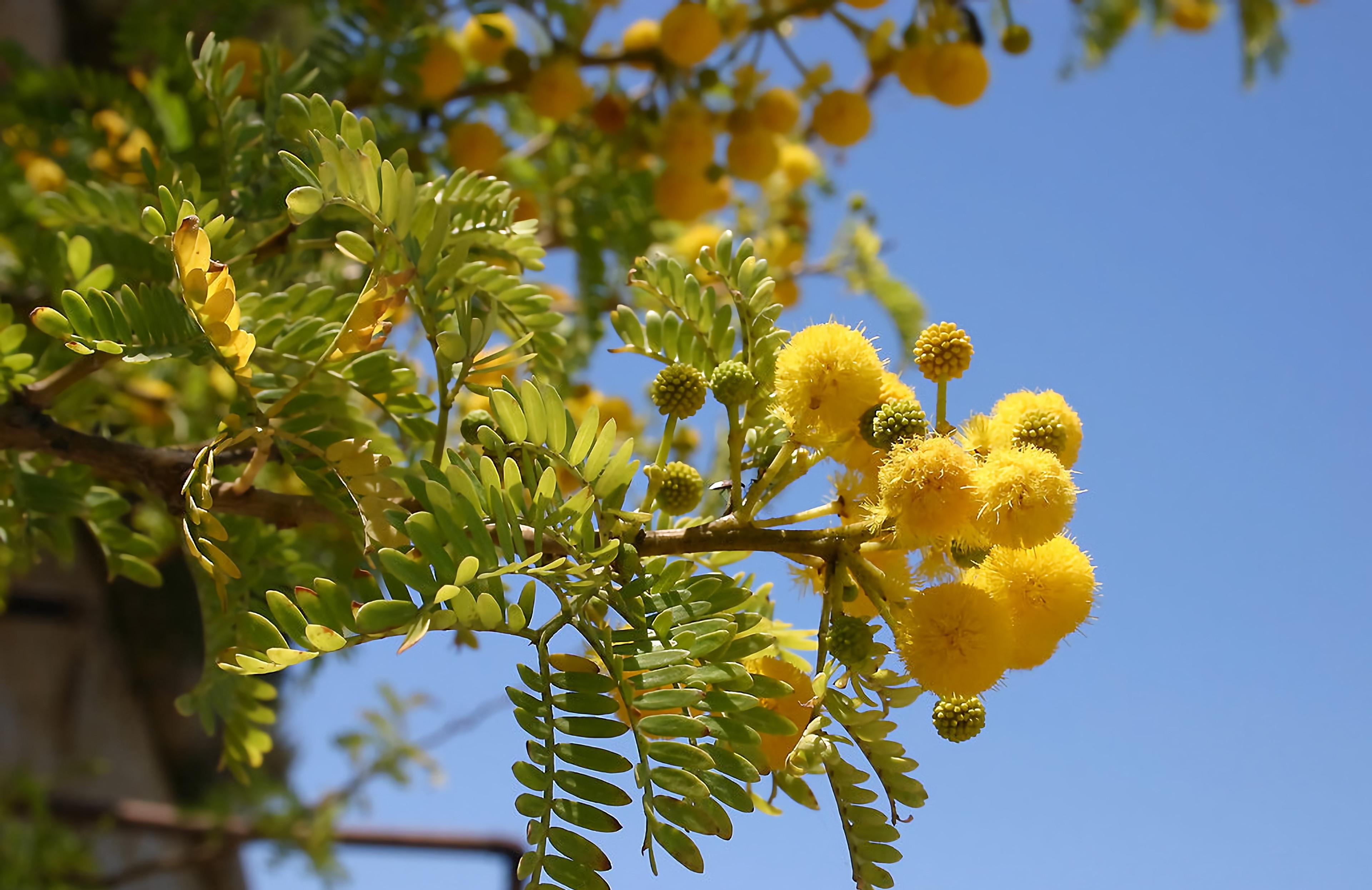 South Coast Nature Walking Tour (Private Tour) - photo 4