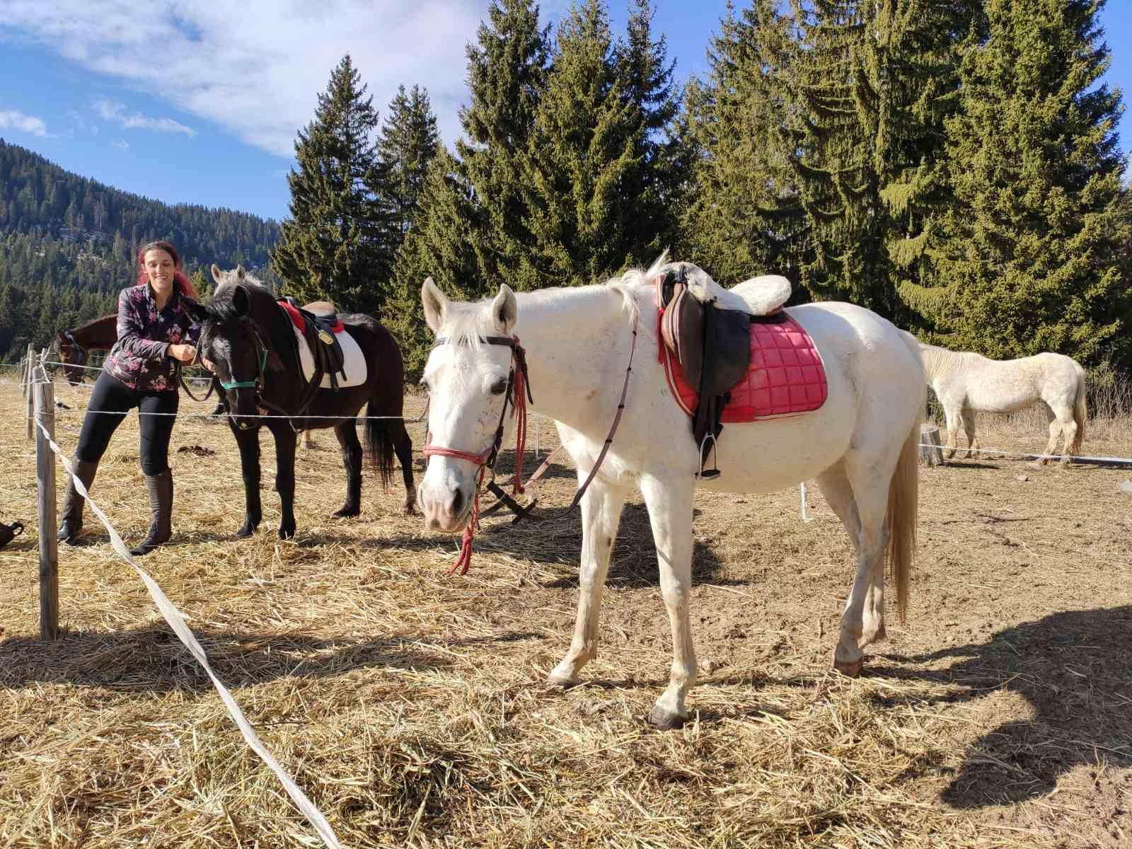 Horse Riding Lessons at the Heart of the Rose Valley - photo 2