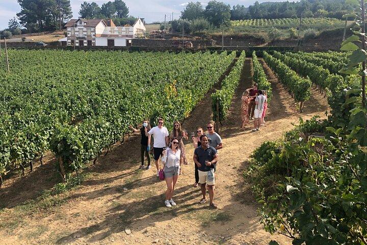 Douro Valley: Small-Group Tour Wine Tasting, Lunch & River Cruise - photo 2