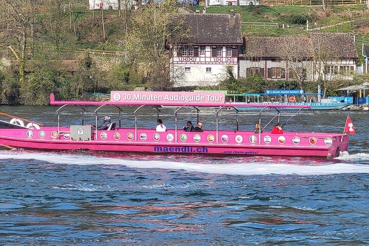 Rhine Falls & Stein am Rhein Private Tour - photo 2