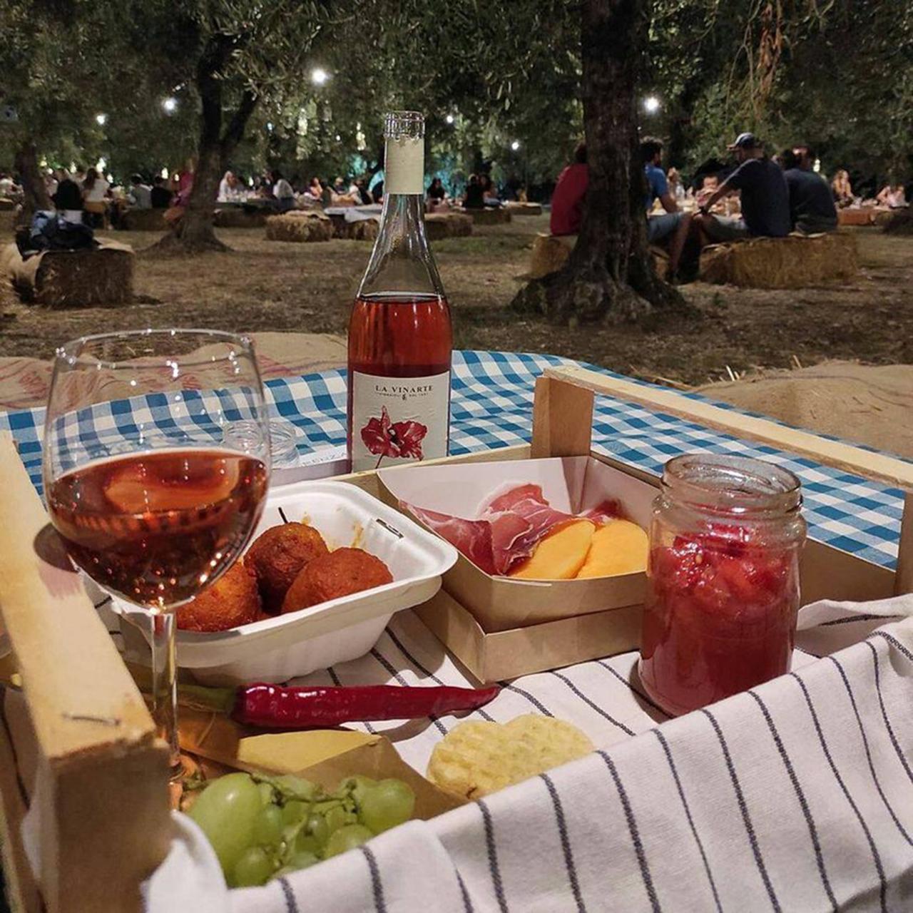 Pic Nic among Olives and Vineyards - cover photo
