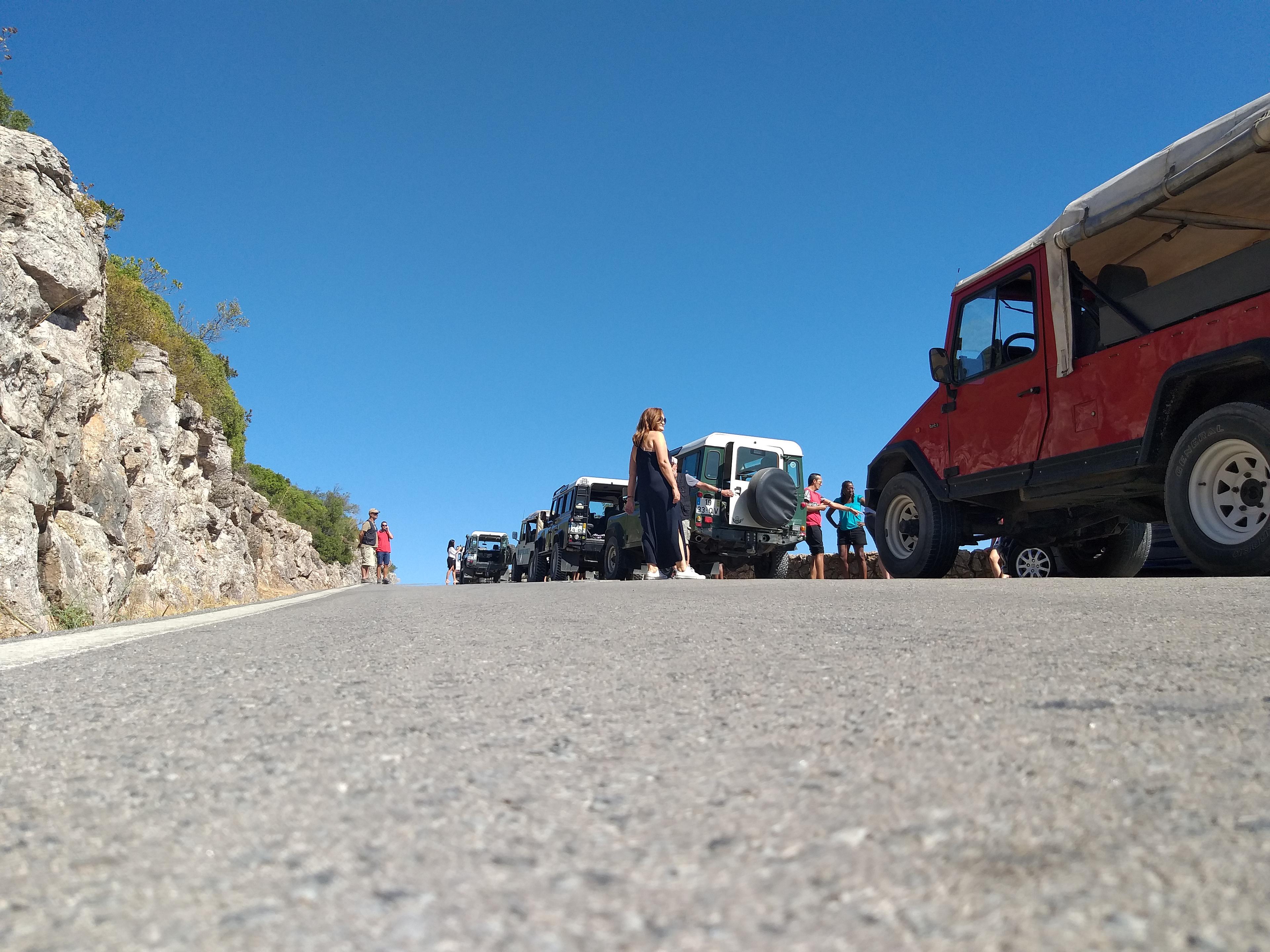 Dolphin Jeep Tour - photo 4